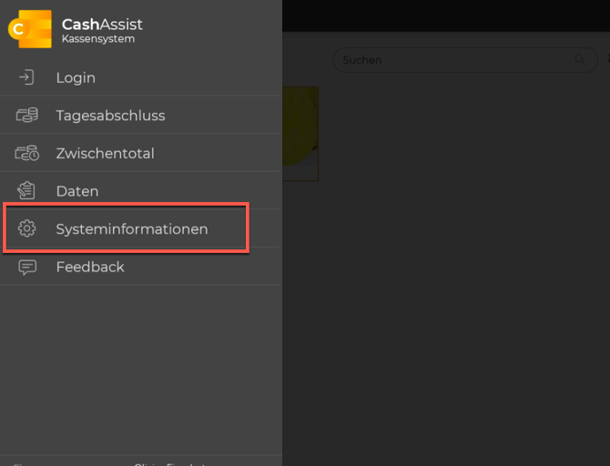 Systeminformationen
